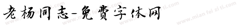 老杨同志字体转换