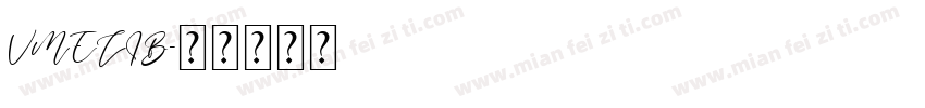 VMELIB字体转换