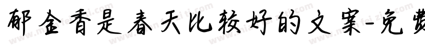郁金香是春天比较好的文案字体转换