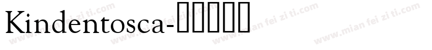 Kindentosca字体转换