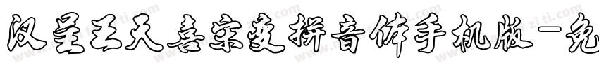 汉呈王天喜宋变拼音体手机版字体转换