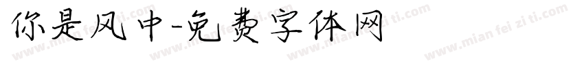 你是风中字体转换