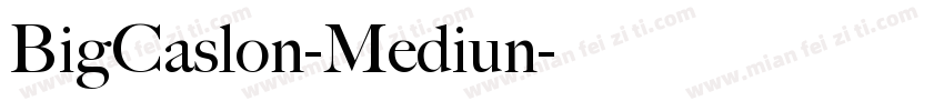 BigCaslon-Mediun字体转换
