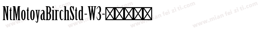 NtMotoyaBirchStd-W3字体转换