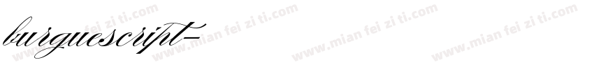 burguescript字体转换