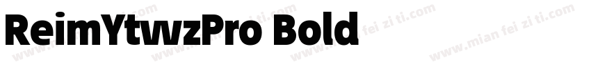ReimYtwzPro-Bold字体转换