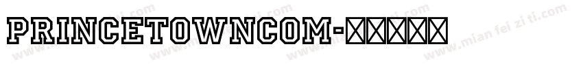 PrincetownCom字体转换