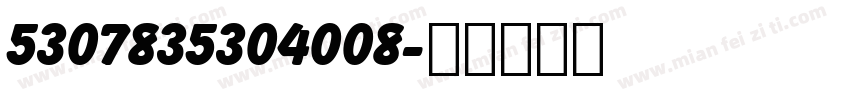 5307835304008字体转换