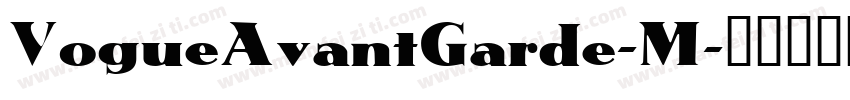 VogueAvantGarde-M字体转换