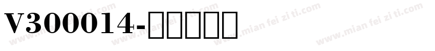 V300014字体转换