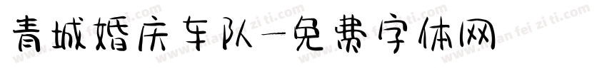 青城婚庆车队字体转换