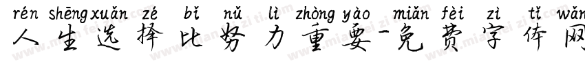 人生选择比努力重要字体转换