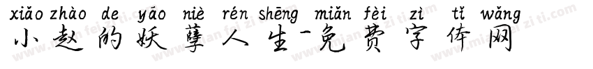 小赵的妖孽人生字体转换