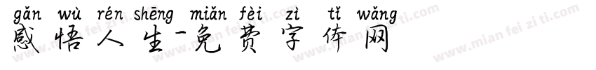 感悟人生字体转换