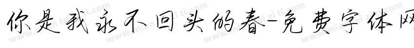 你是我永不回头的春字体转换