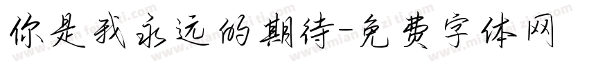 你是我永远的期待字体转换