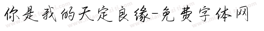 你是我的天定良缘字体转换