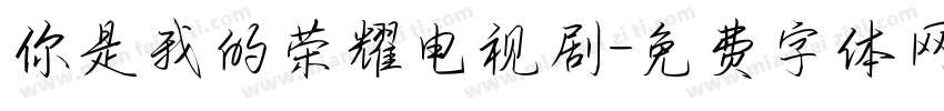你是我的荣耀电视剧字体转换