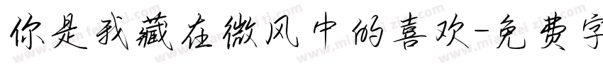 你是我藏在微风中的喜欢字体转换