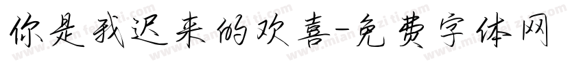 你是我迟来的欢喜字体转换