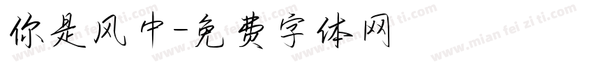你是风中字体转换