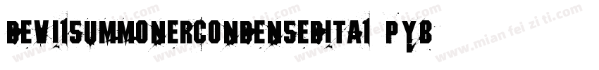 DevilSummonerCondensedItal-pYB1字体转换