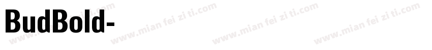 BudBold字体转换