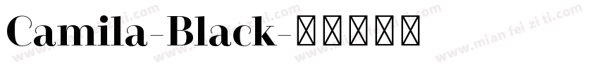Camila-Black字体转换