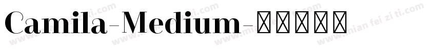 Camila-Medium字体转换