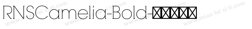 RNSCamelia-Bold字体转换