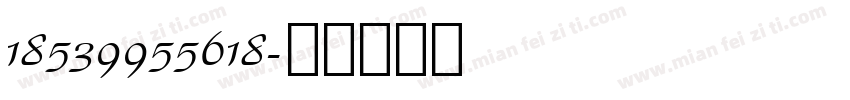 18539955618字体转换