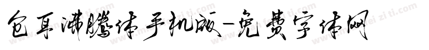 仓耳沸腾体手机版字体转换