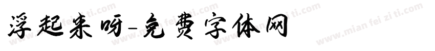 浮起来呀字体转换