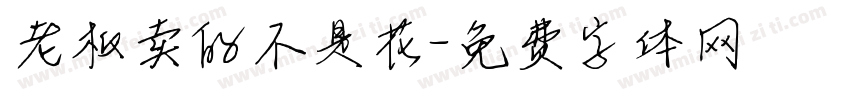 老板卖的不是花字体转换