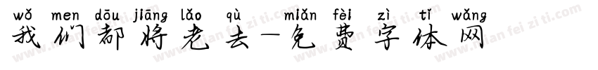 我们都将老去字体转换