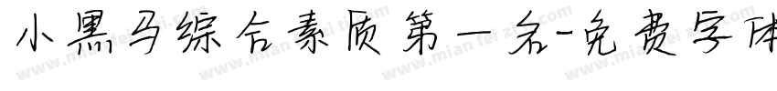 小黑马综合素质第一名字体转换