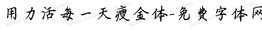 用力活每一天瘦金体字体转换