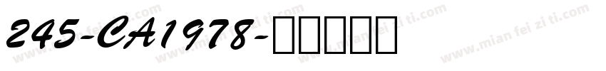 245-CA1978字体转换