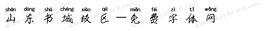 山东书城校区字体转换