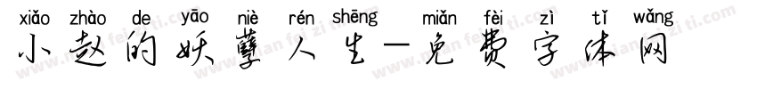 小赵的妖孽人生字体转换