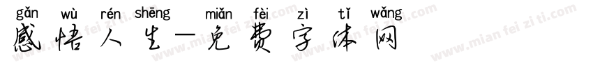 感悟人生字体转换