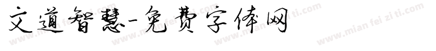 文道智慧字体转换