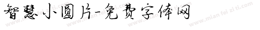 智慧小圆片字体转换