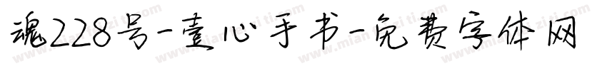 魂228号-壹心手书字体转换