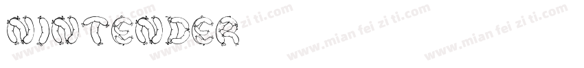 Nintender字体转换