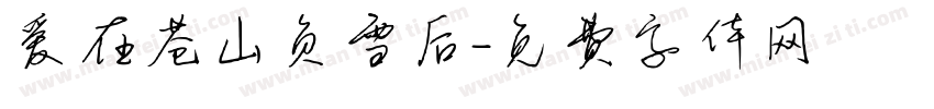 爱在苍山负雪后字体转换
