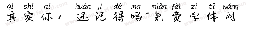 其实你，还记得吗字体转换