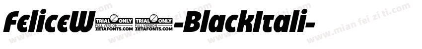 FeliceW05-BlackItali字体转换