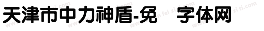 天津市中力神盾字体转换