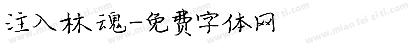 注入林魂字体转换